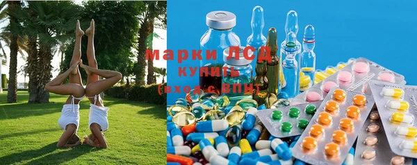 альфа пвп Дмитровск
