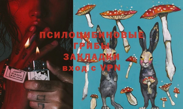 ALPHA PVP Дмитриев