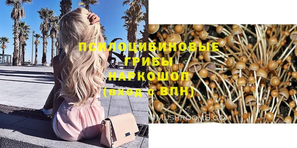 альфа пвп Дмитровск